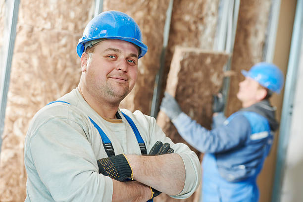 Best Insulation Maintenance and Repair in Marlette, MI