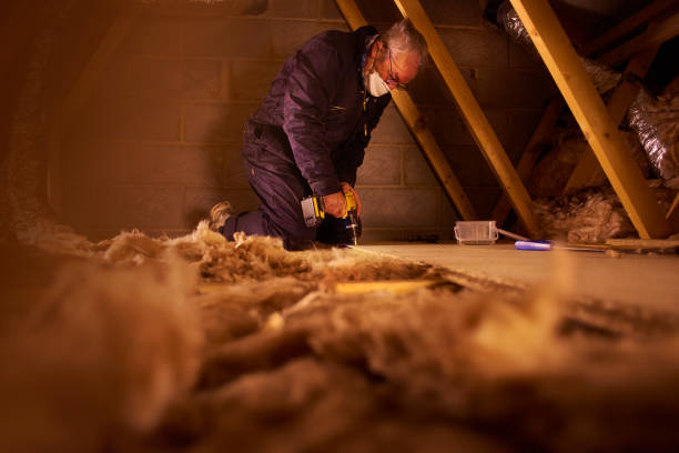 Best Residential Insulation in Marlette, MI